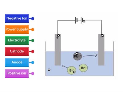 Label Electrochemical Cell