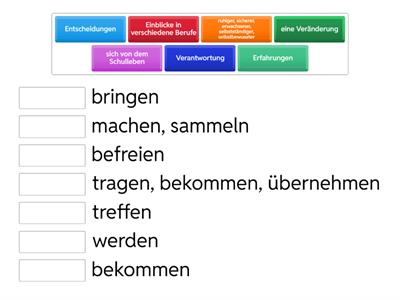 Prima Plus B1 L9 FSJ u. FÖJ