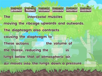 Ventilation of the lungs