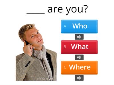 Who / What / When / Where