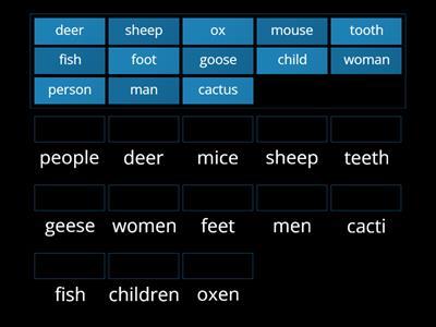 Plural nouns