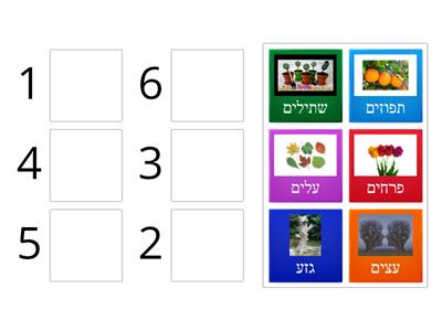  טו בשבט התאמת כמות למספר