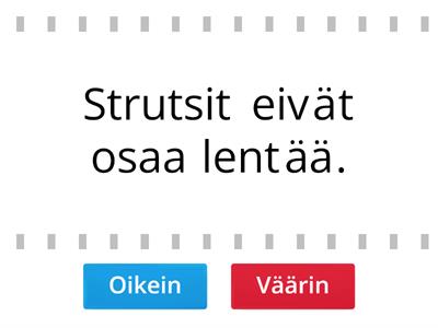 Ymmärtävä lukeminen.