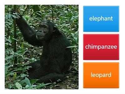 Ways to count to ten Level 1 support