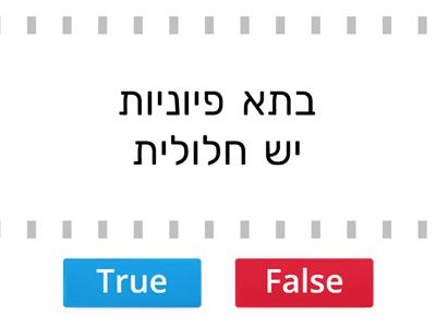 חידון תא פיוניות אליה, שחף ,ליעד, יונתן, אוריה