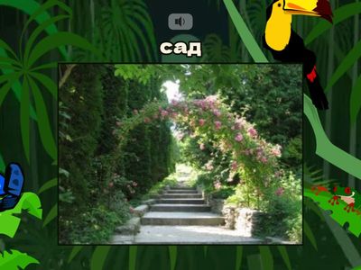 4 ЛК2 1 поймай