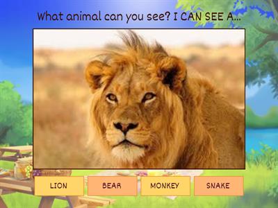 WHAT CAN YOU SEE? 