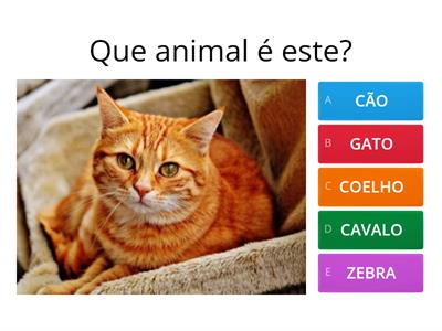 Diversas questões