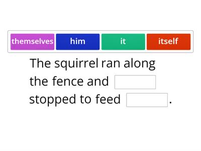 Subject, Object or reflexive pronouns