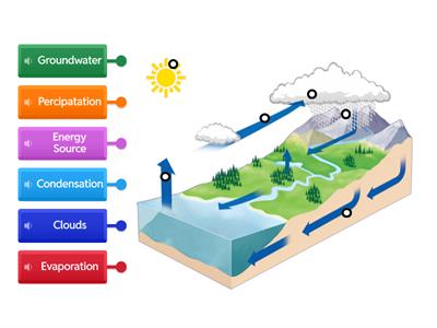 TB1_Water Cycle Labeled Diagram  