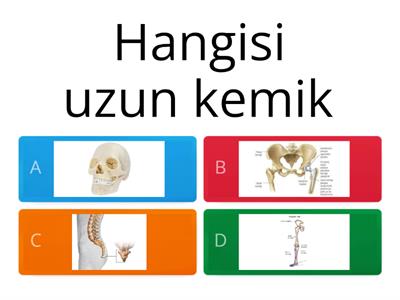 6sınıf fen bilimi