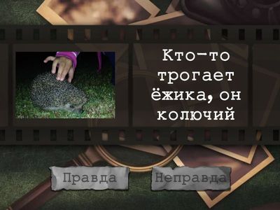 3%. Правда или нет