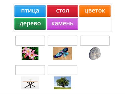 Окружающий мир 2 класс