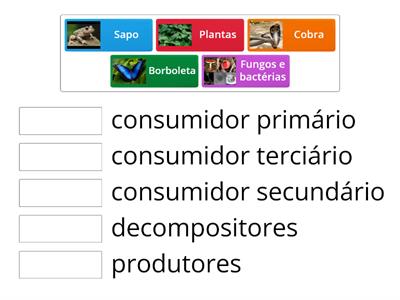 CADEIA ALIMENTAR