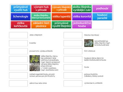 Houby a lišejníky - opakování