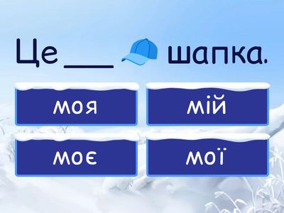 Зимовий одяг (+присвійний займенник)