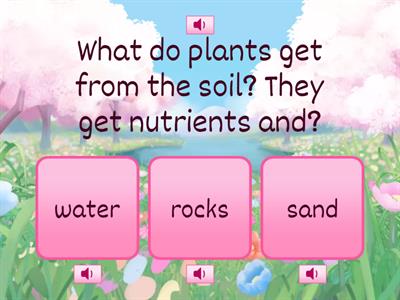 Plants Topic Test