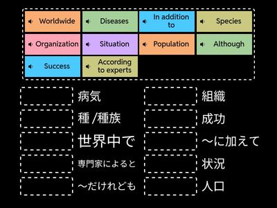 EIKEN Pro-2 (Frog Story)