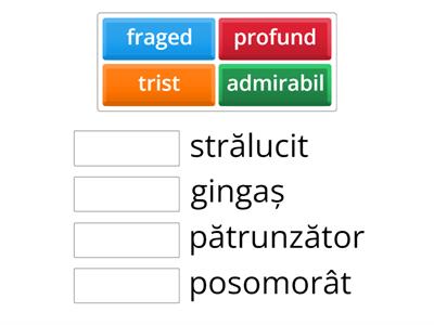Sinonime