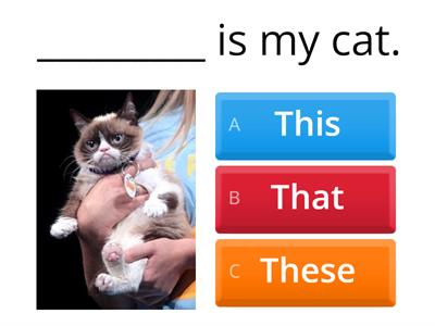 Demonstrative Adjectives