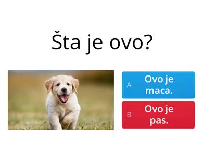 Životinje