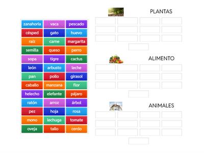 Испанский. Группы