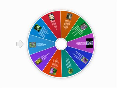  "Первоцвіти" Загадки 5-7 класи