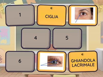 1. MEMORY PARTE ESTERNE DELL'OCCHIO