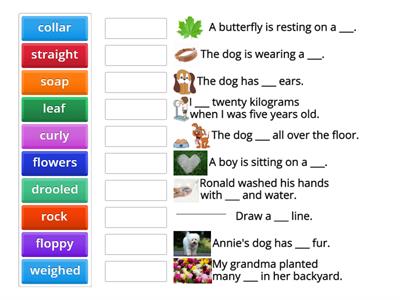 SF 1-10 (3A3B-Sentences)