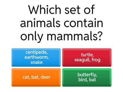 Week 21 sci Animal Classification Quiz
