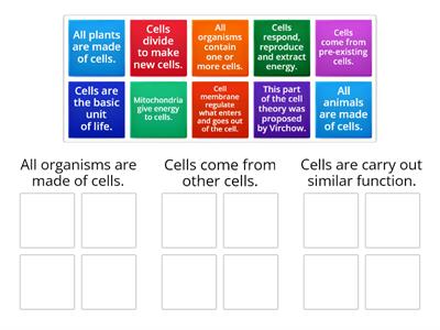 Cell Theory