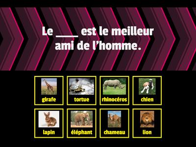 Les animaux 