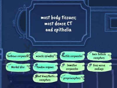 Peripheral Sensory Receptors Quiz