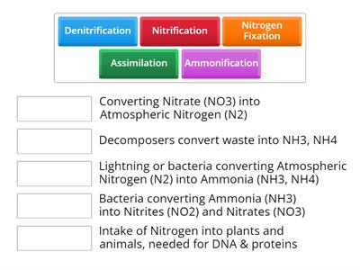 Nitrogen Cycle C