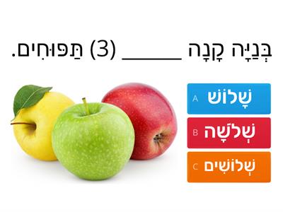  שם המספר 