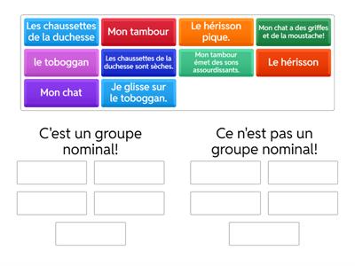 Le groupe nominal