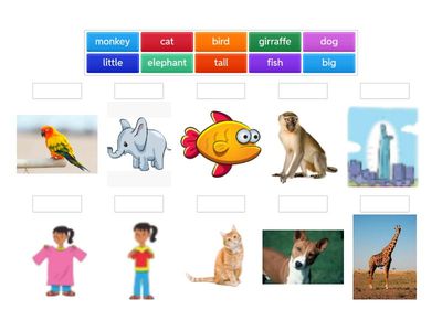 Grade 3_ Unit 4_Words