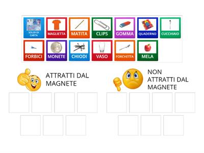 IL MAGNETISMO