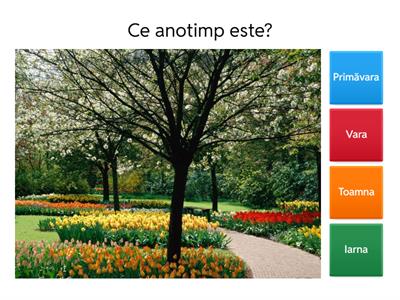 Anotimpuri - joc de identificare a anotimpurilor la clasa pregătitoare