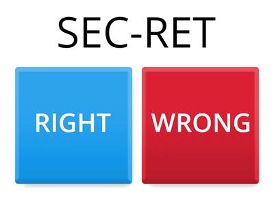 Level 4, Lessons 1-4: Syllable Division/ Right or Wrong?