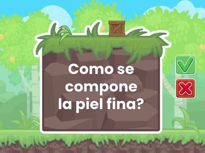 HISTOLOGIA 22 (Piel)