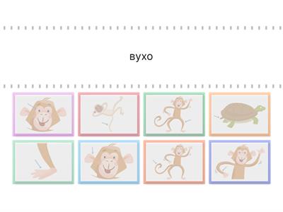 Частини тіла