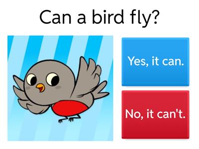 "Yes, I can" Honorata