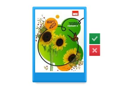 Primary School Subjects