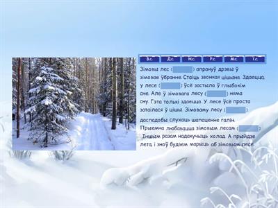 4 клас. Склоны назоўнікаў.