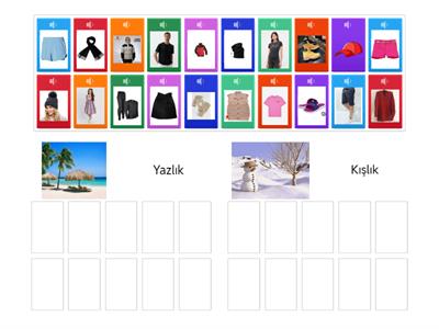 Yazlık - Kışlık Giysiler