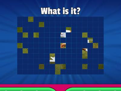 1º primaria sports reveal