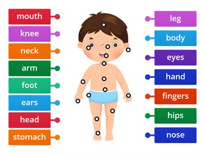  Parts of the body 