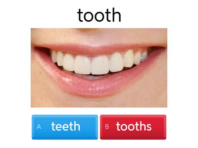 Exam Plural nouns Regular and Irregular