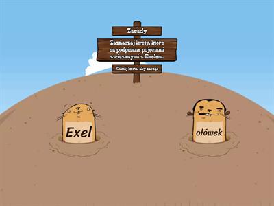 Exel - arkusz kalkulacyjny